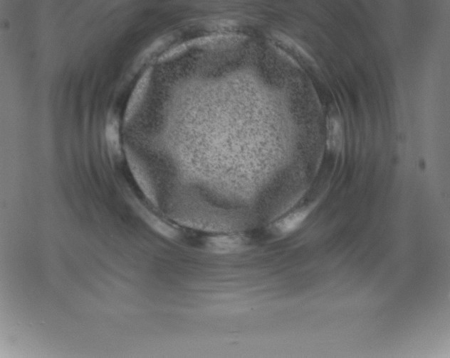 X0000077290238200611101351