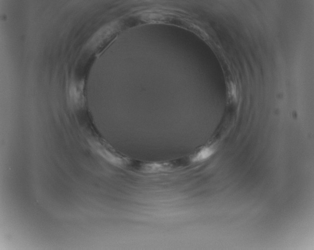 X0000077290239200611101350