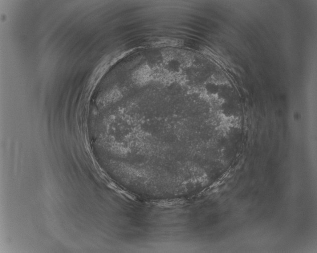 X0000077290241200611101350