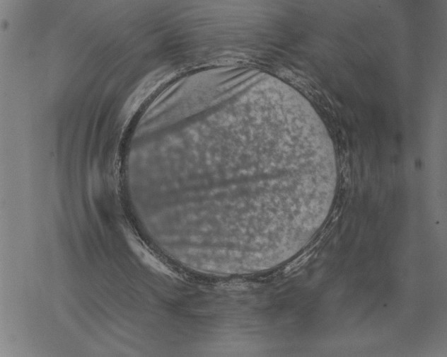 X0000077290242200611101350