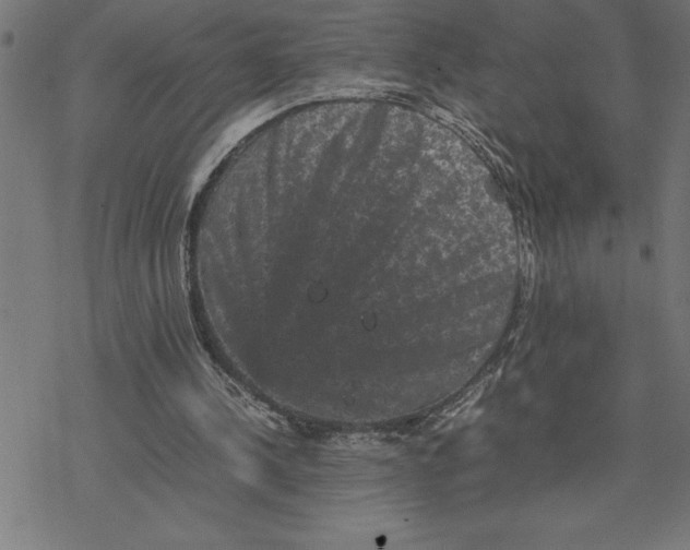 X0000077290244200611101350