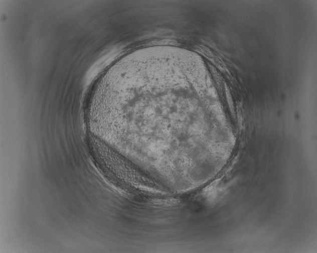 X0000077290245200611101350