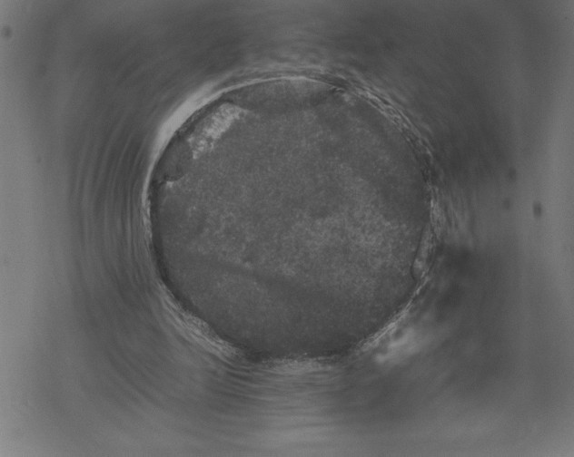 X0000077290246200611101350