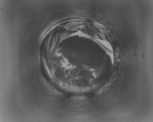 X0000077290247200611101350