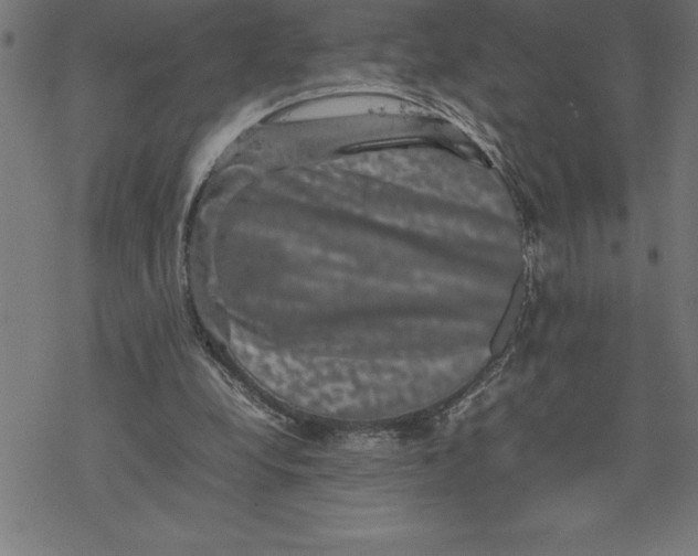 X0000077290248200611101350