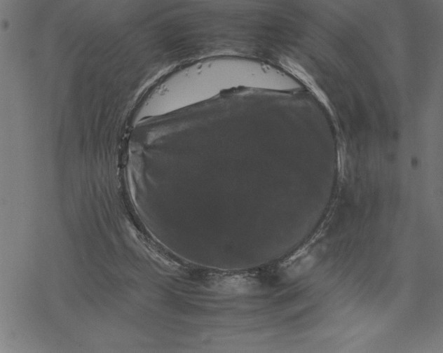 X0000077290249200611101350