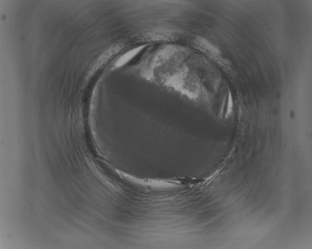 X0000077290250200611101350