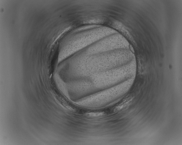 X0000077290251200611101350