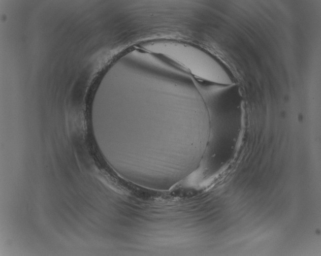 X0000077290252200611101350