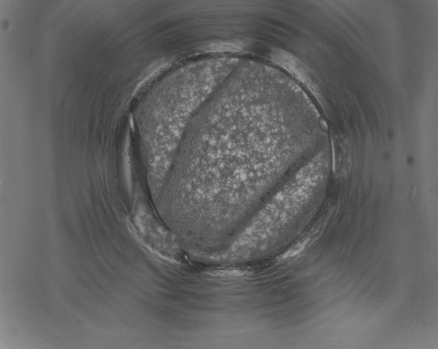 X0000077290253200611101350