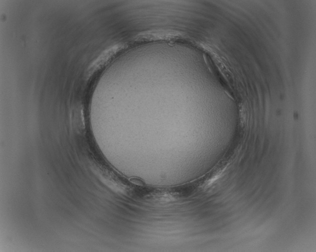 X0000077290254200611101350