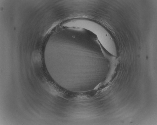 X0000077290256200611101350