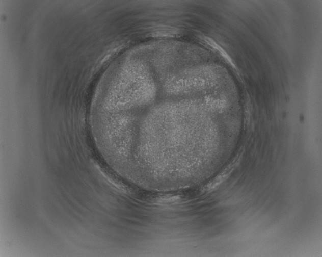 X0000077290257200611101350