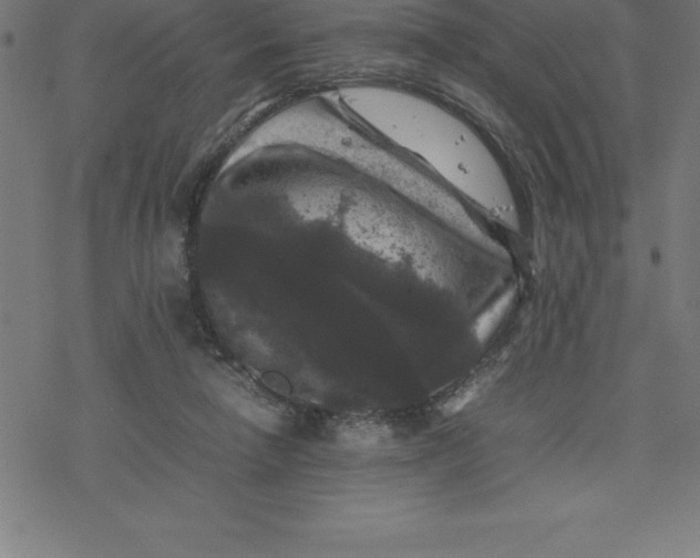 X0000077290258200611101350