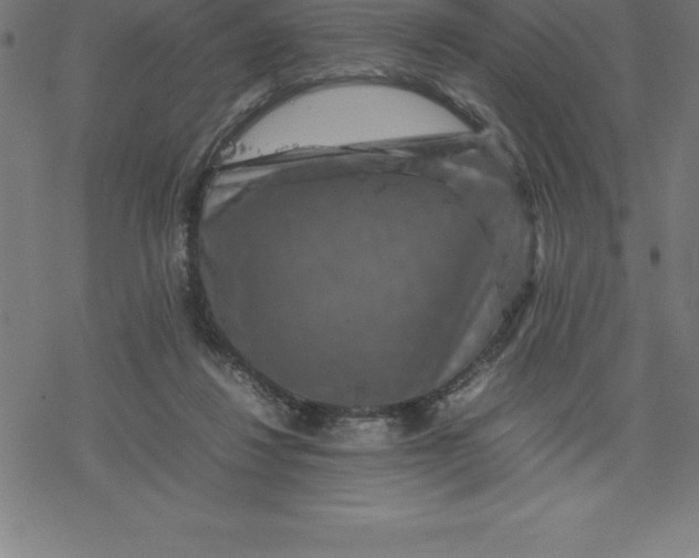 X0000077290260200611101350