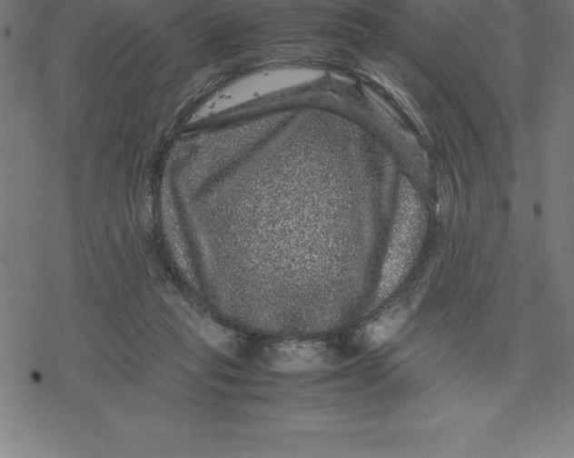 X0000077290261200611101350