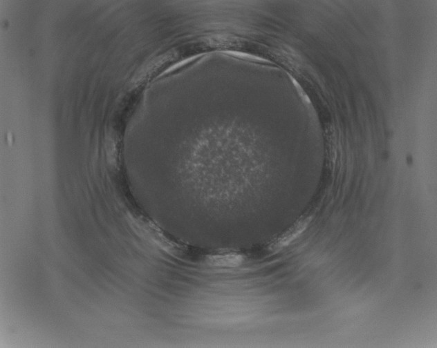 X0000077290266200611101350