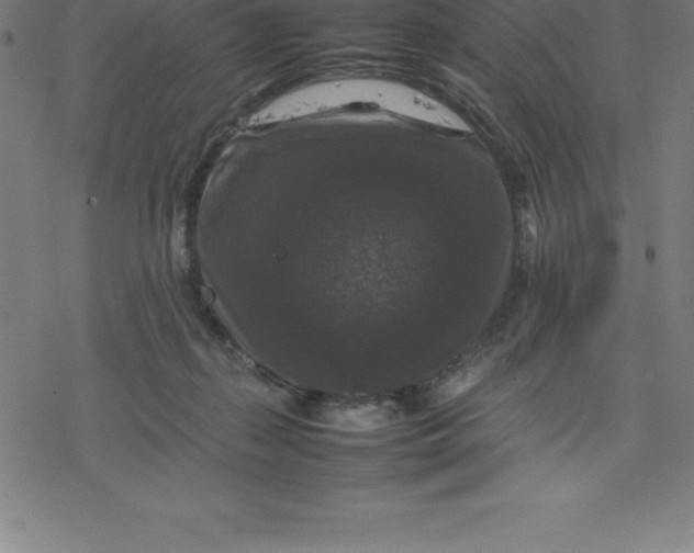 X0000077290267200611101350