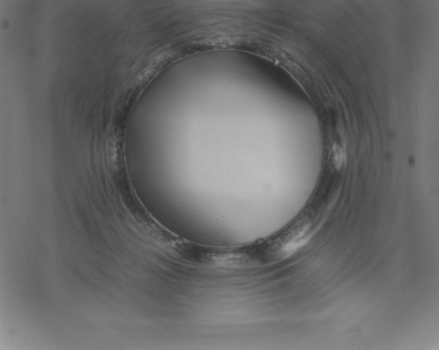 X0000077290268200611101350