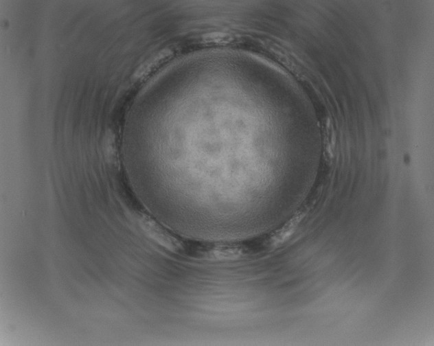 X0000077290270200611101350