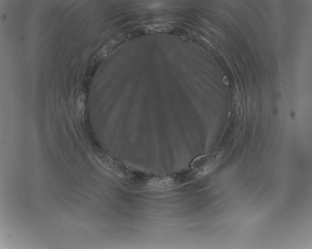 X0000077290271200611101350