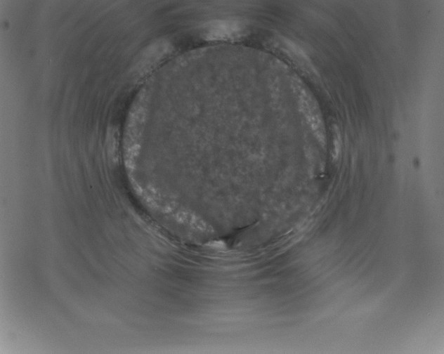 X0000077290273200611101350