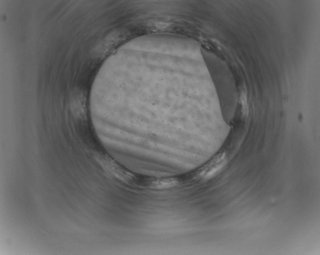 X0000077290274200611101350