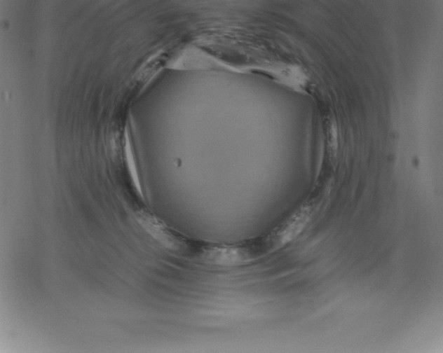 X0000077290276200611101350