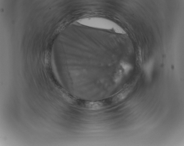 X0000077290277200611101350