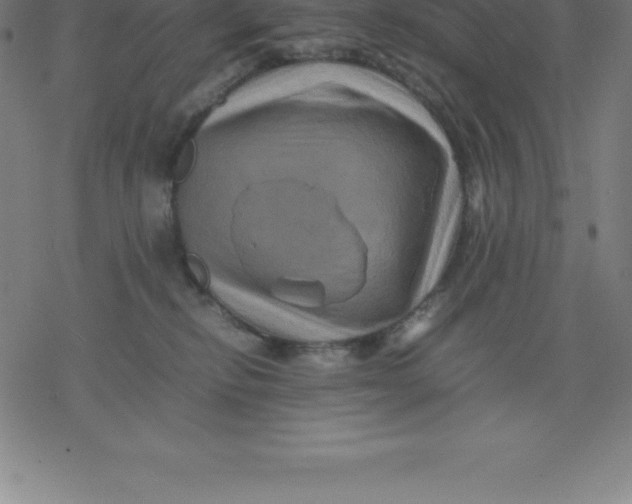 X0000077290278200611101350