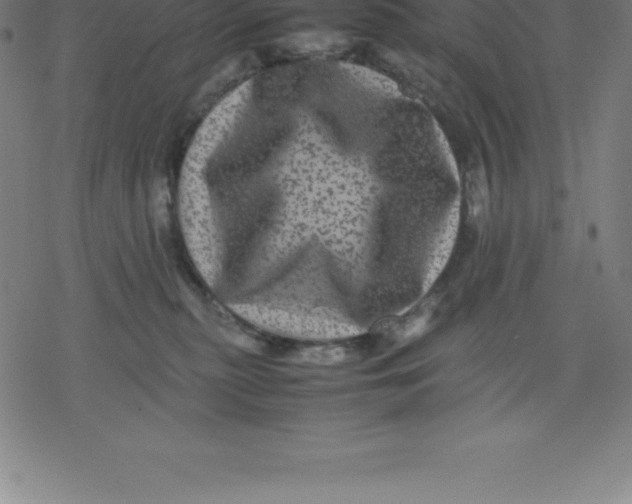 X0000077290279200611101350