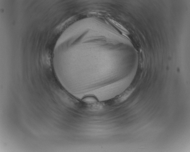 X0000077290282200611101350