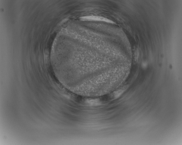 X0000077290283200611101350