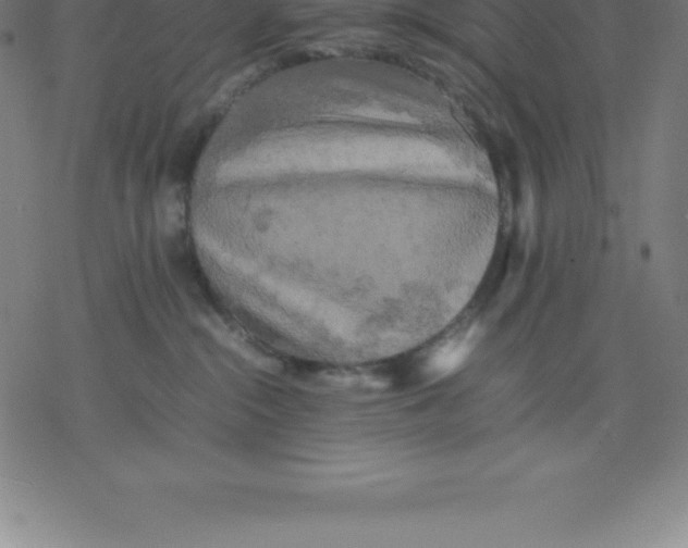 X0000077290284200611101350