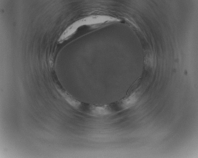 X0000077290285200611101350