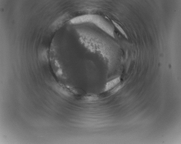 X0000077290286200611101350