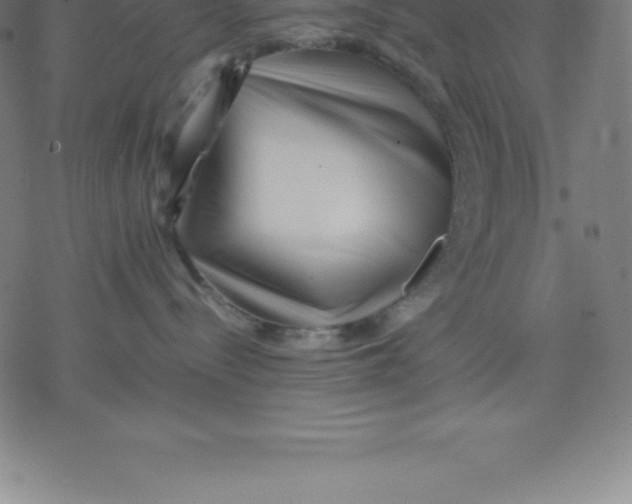 X0000077290288200611101350