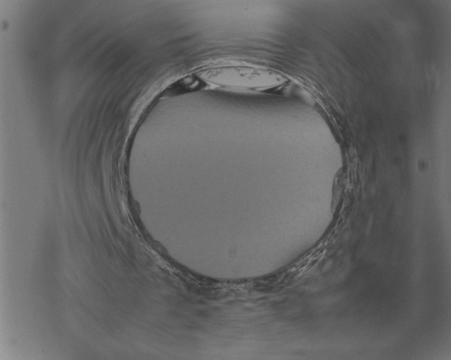 X0000077290289200611101350