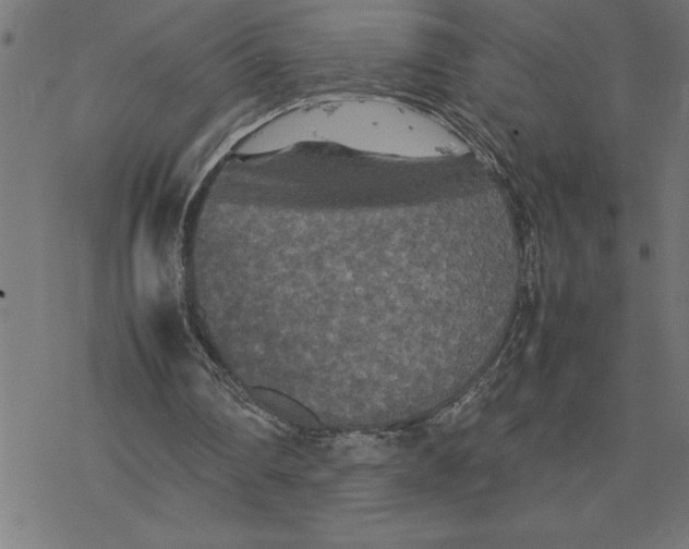 X0000077290290200611101350