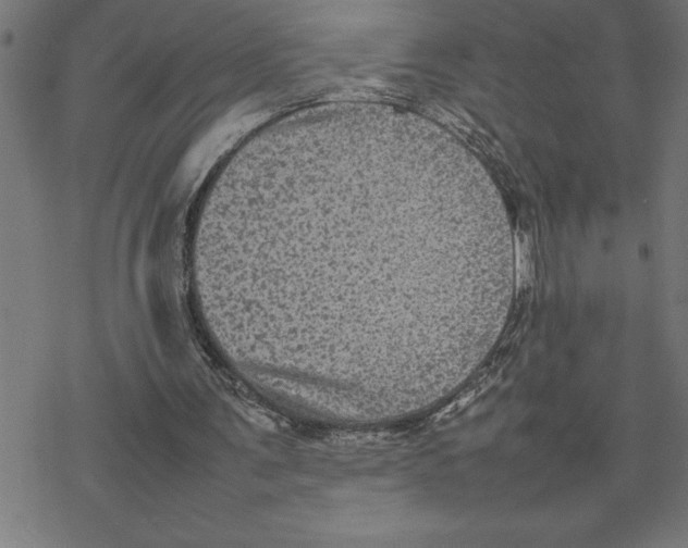 X0000077290291200611101350