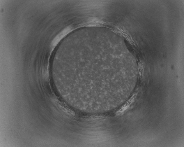 X0000077290292200611101350