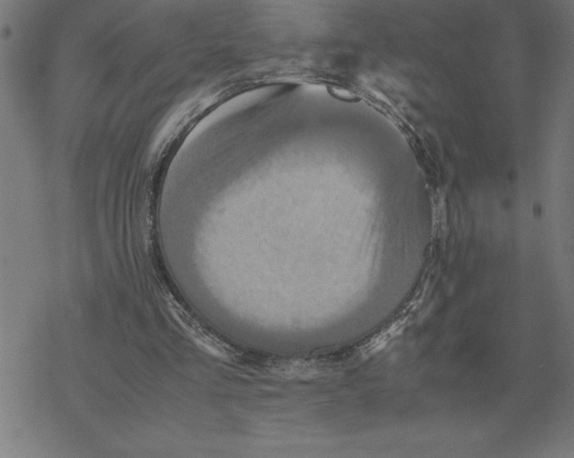 X0000077290293200611101350