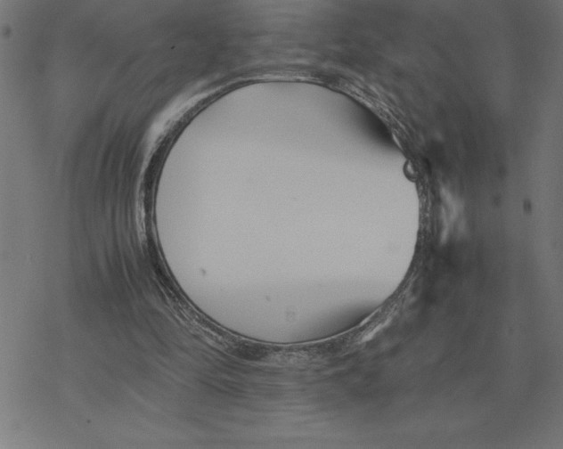 X0000077290294200611101350