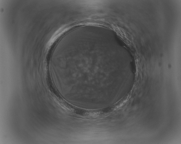 X0000077290295200611101350