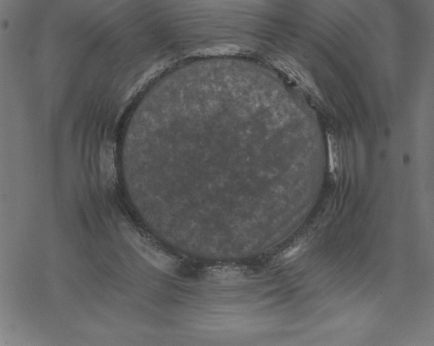 X0000077290300200611101350