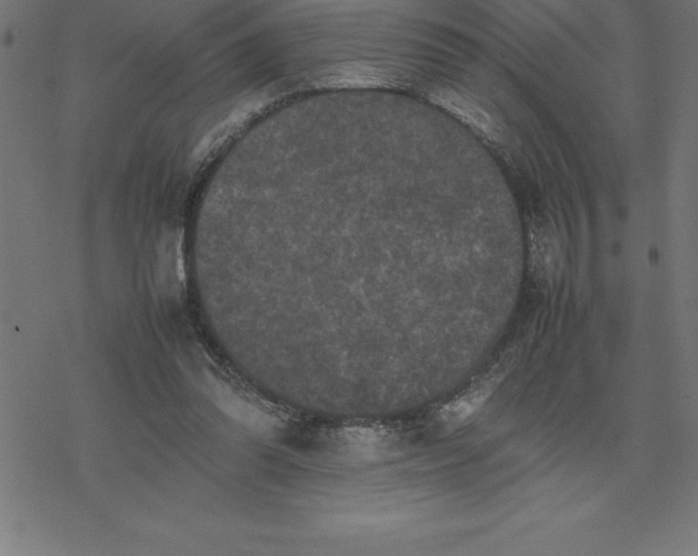 X0000077290302200611101349