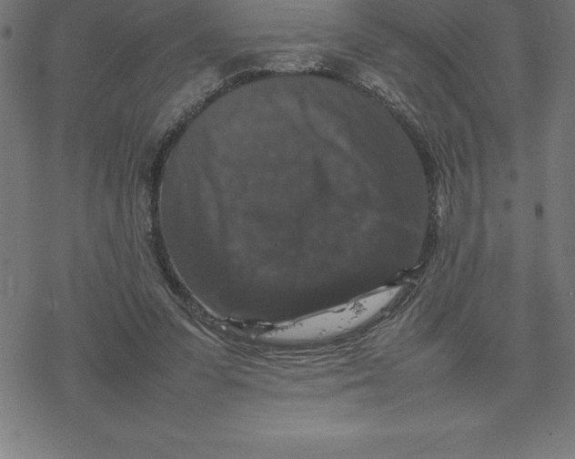 X0000077290303200611101349