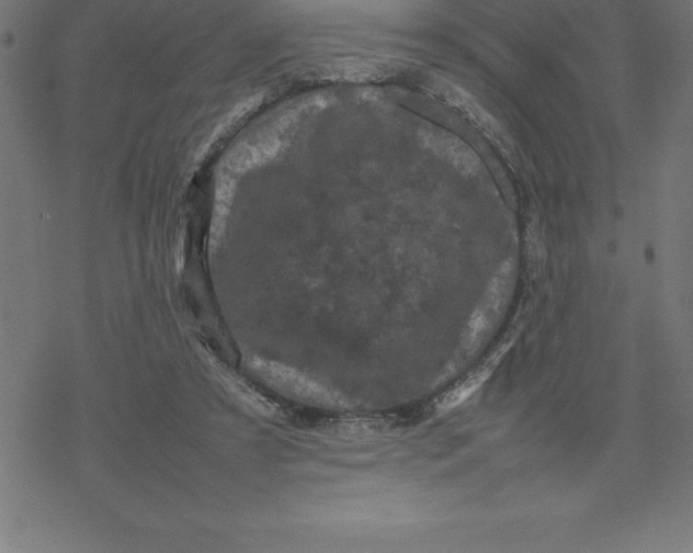 X0000077290305200611101349