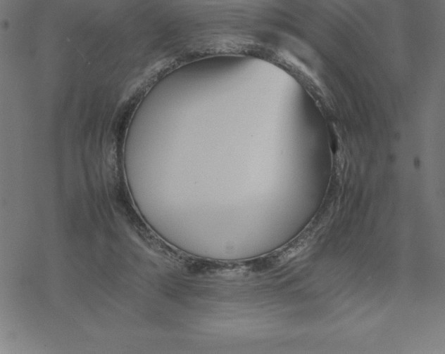 X0000077290306200611101349