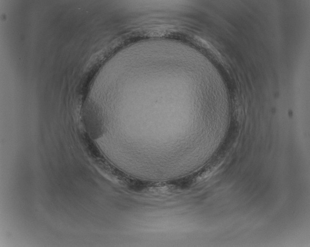 X0000077290307200611101349